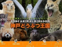 画像は「神戸どうぶつ王国」のホームページより