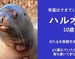 「いつでも暴れる準備はできている」　北海道・おたる水族館の〝短気なトド〟紹介文にSNS感心「リスペクト不可避」