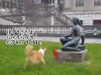 犬ってそういうところあるから...銅像と取ってこい遊びがしたくて、おもちゃを何度も差し出す犬