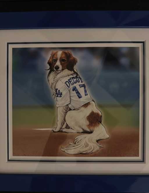 Instagram:大谷翔平(@shoheiohtani)より