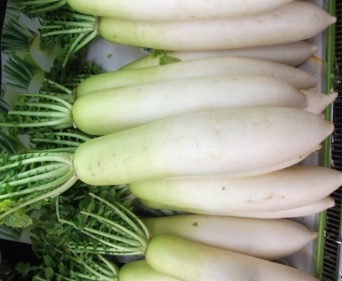 （画像はイメージ）