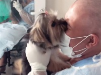 愛犬が生きる勇気を与えてくれた。入院中に飼い主と1か月ぶりの再会