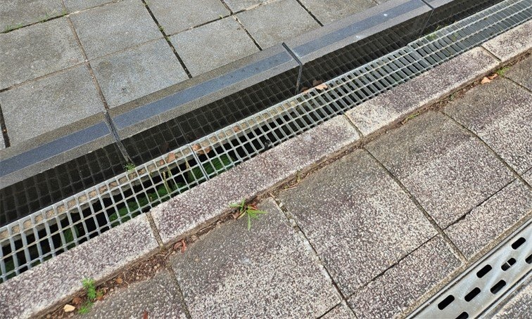 側溝内の〝覗き魔〟激写される　視線の主の正体に7.2万人驚愕「よく気がついたな」