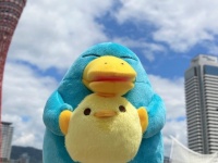 イコちゃん、ぴよりんをギュ～ッと抱っこ　JR〝コラボぬい〟が可愛すぎて騒然「ﾔﾀﾞｰｰｰｶﾜｲｲ！」「買いに行かねば！」