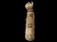 古代エジプトの猫のミイラの中身をCTスキャン、3匹の猫の体の部位が入っていたことが判明（フランス研究）