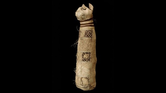 古代エジプトの猫のミイラの中身をCTスキャン、3匹の猫の体の部位が入っていたことが判明（フランス研究）