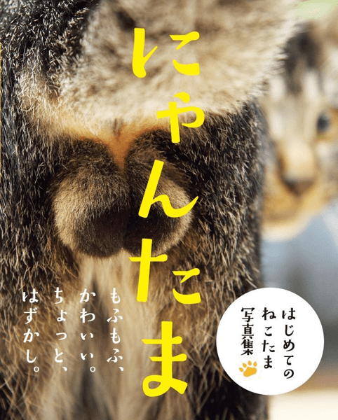にゃんとも嬉しい! 猫好きの猫好きによる猫好きのための写真集に、もうメロメロ♡#6