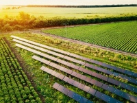 太陽光発電のソーラーパネルに予想外の効果が！パネルの下に日光が苦手な農作物の畑を作るとウィンウィンの関係に（米研究）