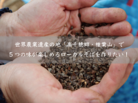 椎葉屋のプレスリリース画像