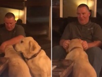 次は自分の番だから！耳に治療薬を入れる兄弟犬の後ろで健気に待つ犬。だが君には必要ない。そこで飼い主は考えた