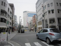 並木通り（Hiroshimatengokuさん撮影、Wikimedia Commonsより）