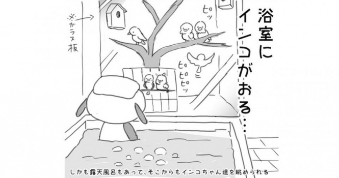 「浴室にインコがおる...」　京都で発見された「天才すぎる銭湯」に反響→飼育の理由を主人に聞いた