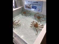 都尾琉さんのツイートより
