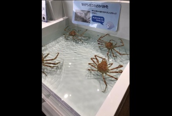 都尾琉さんのツイートより