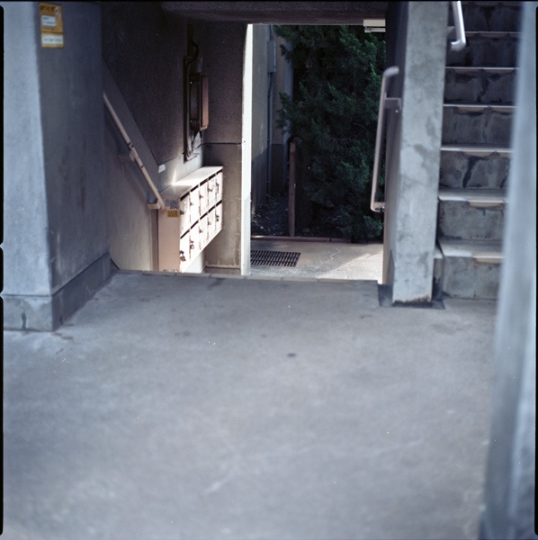 画像はイメージです（yosuke watanabeさん撮影、Flickrより）