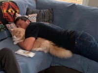 ペットは絶対飼わん！と断言した父親・男性たちのビフォア・アフター
