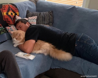 ペットは絶対飼わん！と断言した父親・男性たちのビフォア・アフター