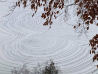 氷の枯山水にも見える！アラバマ州で発見された美しい氷のミステリーサークル