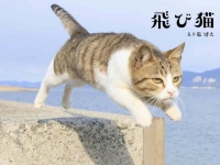 飛び猫合同会社のプレスリリース画像