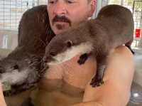 カワウソと一緒に水遊びできるアニマルリゾート施設がある