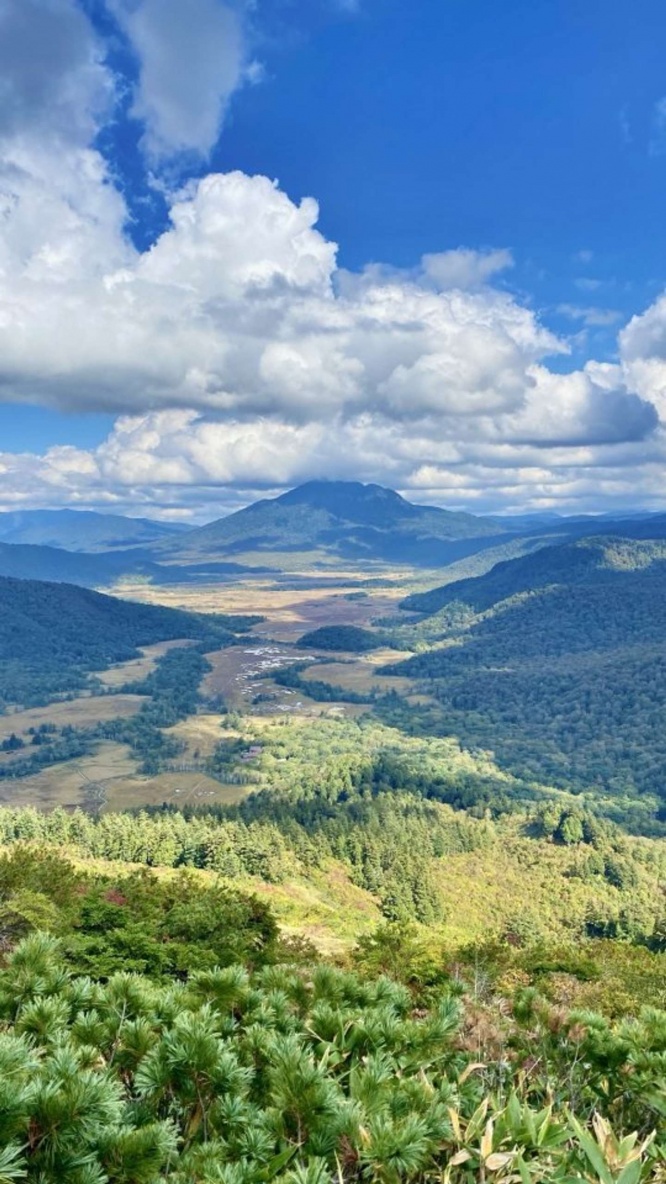 「れん」(@xRENZAURx)さんの投稿より、再掲