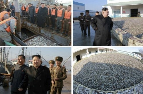 朝鮮人民軍8月25日水産事業所を現地指導した金正恩氏(2016年11月20日付労働新聞より)