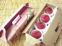 東関交通株式会社のプレスリリース画像