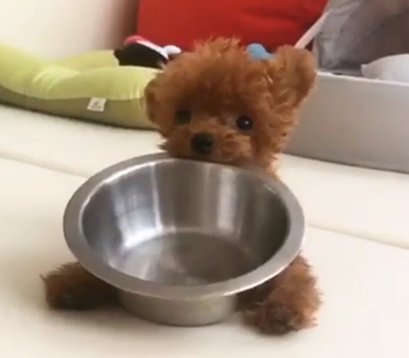 スクリーンショット-(685)