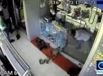 宝石店に盗みに入ったのは、猿！？　巧みな手口に人間完敗の模様
