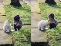 癒ししかない。近所の猫と少年の間に芽生えた愛情「君はともだち」