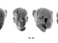 いったい誰？4300年前の謎のファラオの頭像が発見される（イスラエル）
