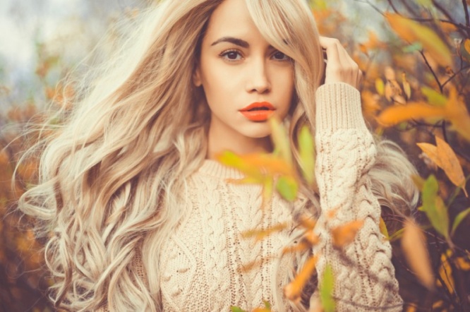 iStock_000076868003_Small
