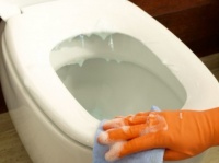 他人のお尻は汚い？　座る前に、便座を「除菌」している人は○％も