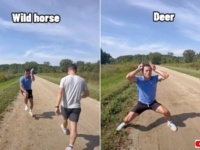 特徴を完ぺきにとらえてる！「動物がニンゲンに遭遇したときの反応」を再現してみた結果