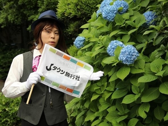 右手に見えますのは、アジサイでございます