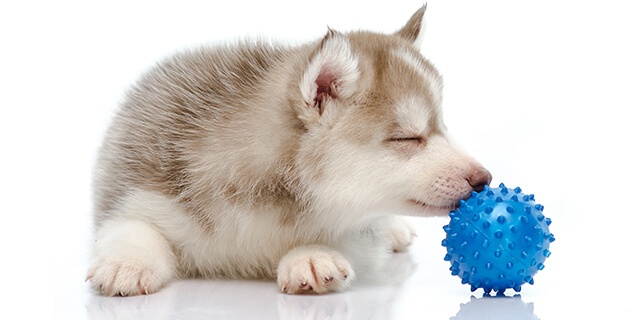 「Doctors Me（ドクターズミー）」コラム画像