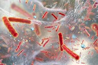 スーパーバグキラー。薬物耐性菌を破壊するナノコーティング素材が開発される