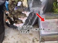 ゴミ捨て場の水槽の中で生き残っていた魚、やさしい女性に救助され元気を取り戻す