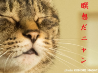 辰巳出版株式会社のプレスリリース画像