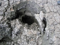 正体不明の物体が落下した後、池の水が全て消え巨大な穴が出現！？アメリカで起きたミステリー事件簿