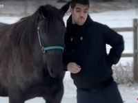 馬と彼氏、これもブロマンスで正解なのか？飼い主のボーイフレンドに一目惚れしてしまった馬