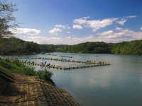 宮沢湖（京浜にけさん撮影、Wikimedia Commons