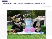 桜浜と桃浜（画像は白浜アドベンチャーワールドのホームページより）