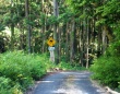 通りがかった車が、動けなくなった私を乗せて走る　山の中の一本道、着いた先で差し出されたものに驚き（茨城県・50代女性）