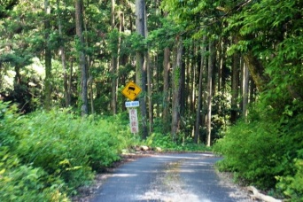 通りがかった車が、動けなくなった私を乗せて走る　山の中の一本道、着いた先で差し出されたものに驚き（茨城県・50代女性）