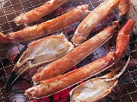 女性に聞いた！　「食べるのが面倒くさいと思う食べもの」ランキング10