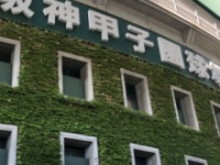 甲子園球場