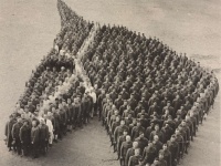 戦場でなくなった馬たち悼み、人文字で馬の頭部を作り敬意を表したアメリカ兵士（第一次世界大戦時）