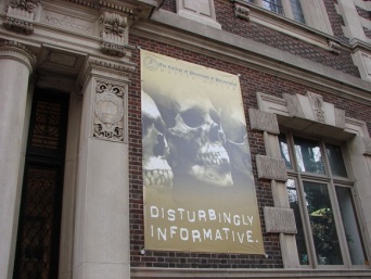 アメリカで面白いもの見てみたい？UMAからUFOまでマニアックなものが楽しめる5つの博物館と美術館