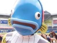 謎の魚